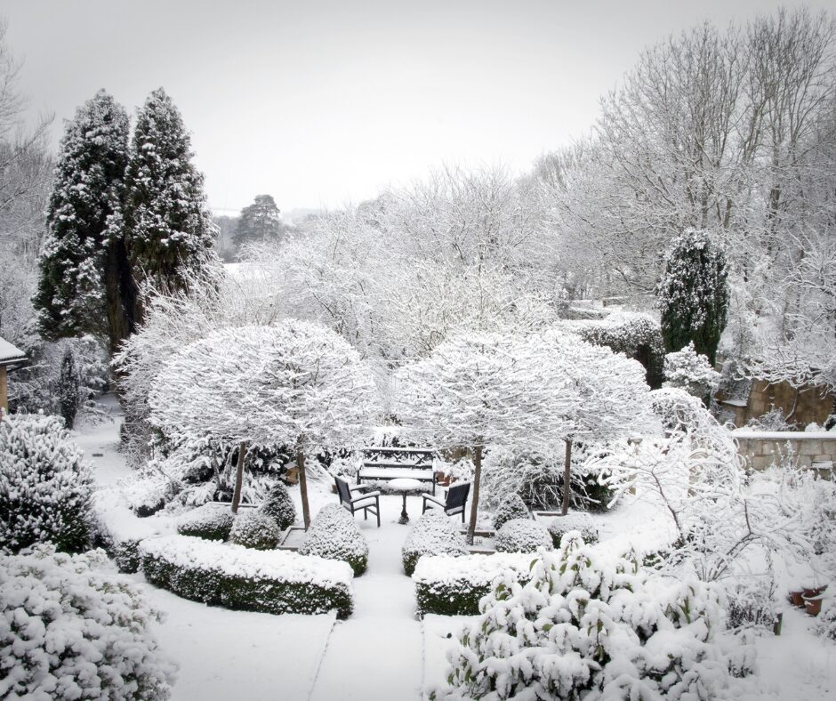 Turn Your Winter Garden into a Selling Point