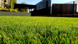 Welcome Spring with a Flourishing Lawn