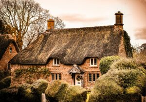 Different Types of Thatch and What You Need to Know